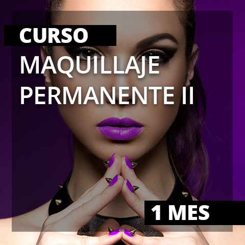 curso belleza maquillaje permanente II